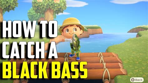 I fish listening for the sound only and if it was something that required a faster response time than any of the normal fish, I'd lose it. . Black bass animal crossing